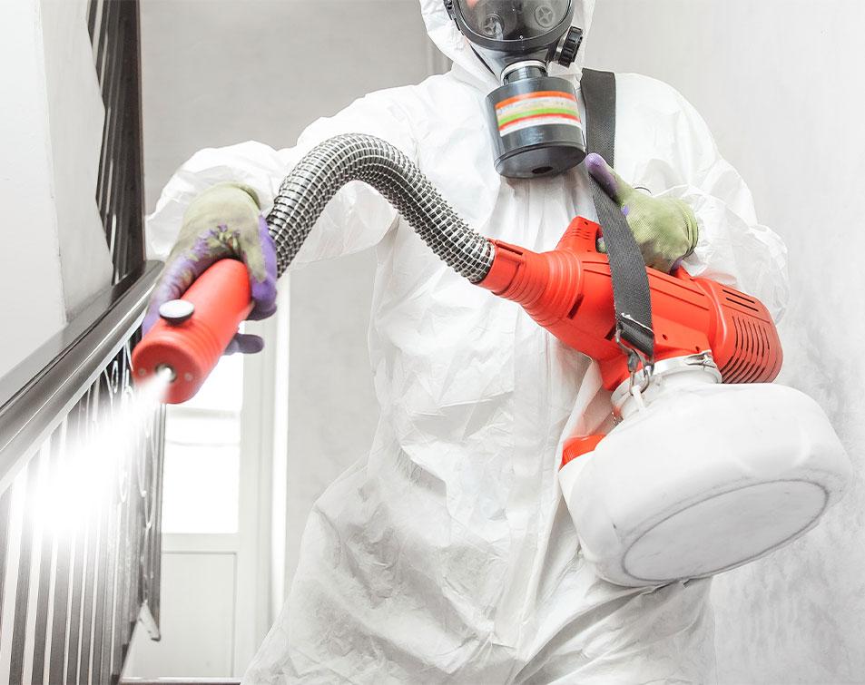 Covid Cleaning Services